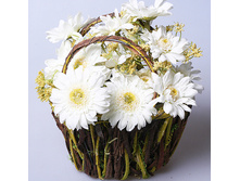 ������� �� ������� BH13A 270B 190�.jpg