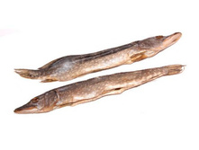 ���� �������.jpg