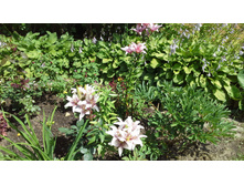 20150704 123928.jpg