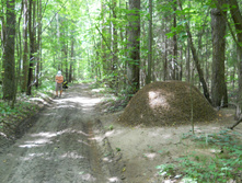 DSCN1439.JPG
