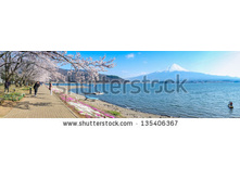 Stock-photo-kawaguchi-japan-apr-cherry-blossom-festival-at-lake-kawaguchi-april-in-japan-135406367.jpg
