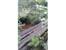 20150701 125435.jpg
