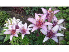 20150704 123949.jpg
