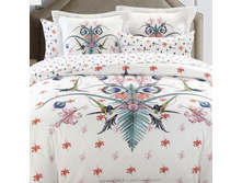 5558/1 ��� 2�� (Feather) �(2)70*70 �(2)50�70 �� ����� �����