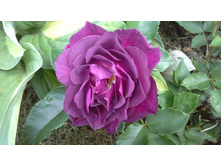 20150614 103225.jpg