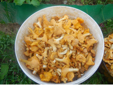 ������� ��������� �� 80�.�� 1 ��