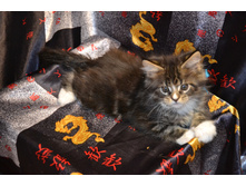 2 ������