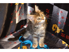 2 ������