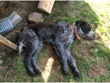 ����������� :)