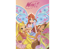 520013/1 ���� �������� Winx Fery