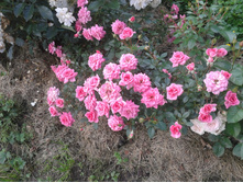 20150711 161524.jpg
