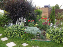 ������ ������ � �������.jpg