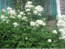 ��������� �����������