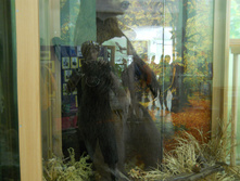 DSCN1419.JPG
