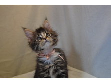 2 ������