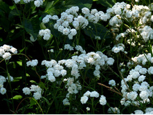 ������������� �������� ����������.80