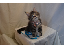 2 ������