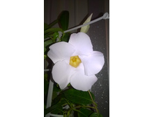 WP 20150722 20 22 29 Pro.jpg