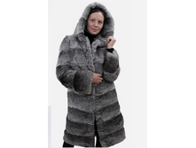 ���� �������.png