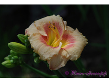 �������� ����� �������� 180�