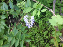 ����-0042.jpg