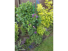 �������� �� ���