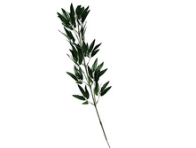 403/0029� - 102.00