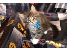 2 ������