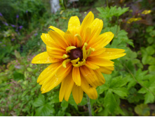 P1040116.JPG �������� ��������