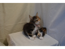 2 ������