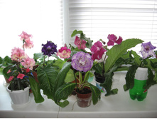 �������������� � ���������