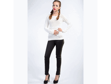 JESTER-FW13C ������ ������.GIF