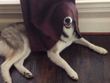 ��������� �����.jpg