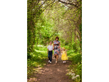 ���� ���� ������