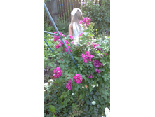 20150627 190445.jpg