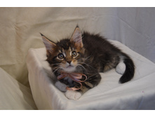 2 ������