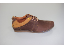 1746 ������+���.JPG