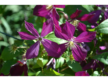 ���� 2015-27 094.JPG