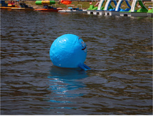 DSCN0220.jpg
