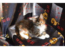 2 ������