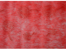 ���� � �������� ��������� �� ������� 10� 50�� 371�.JPG