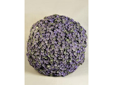 403/0177� - 1653.00