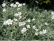 �������.70