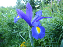 P1040043.JPG ���� ����������