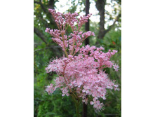 �������� ������� 80