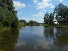 DSCN1145.JPG