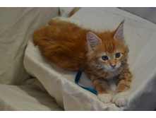 2 ������