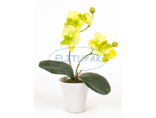 ��000611 ������� ���������� ���� � �������� ������� 25 �� (12 ��.� ���.)(Mbox 72 ��.) 348.80�.png