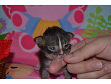 2 ������