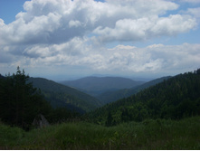 � �������� ����